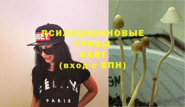 крисы Белокуриха