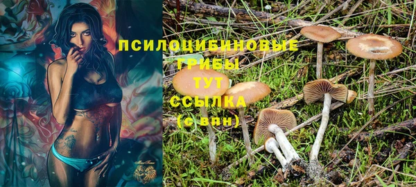прущий лед Белоозёрский