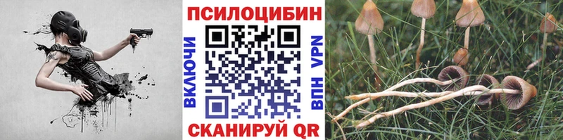 Галлюциногенные грибы Cubensis  Кстово 